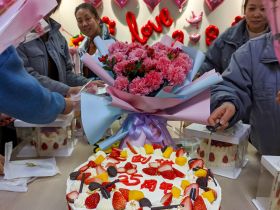 世博(中国)_世博(中国)官方举办三八妇女节活动